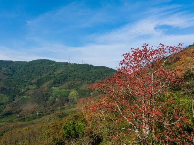 图观白沙 | 白沙山城的绿意秘境