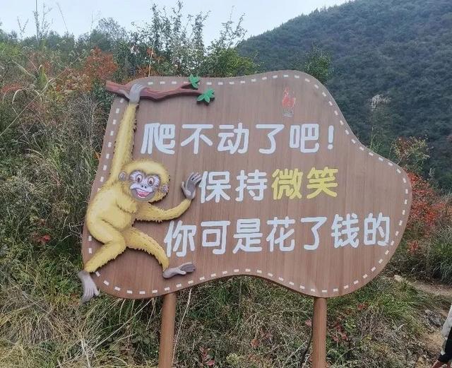 景区“损人式加油”爆火！专治各种爬不动？