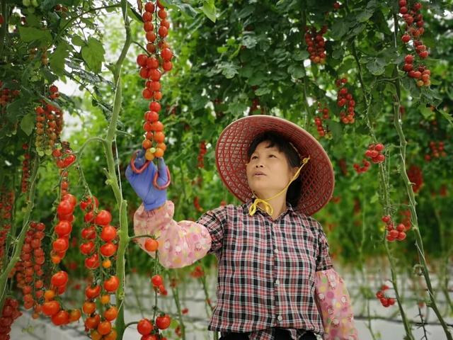 赏花撸萌宠、水果采摘、围炉煮茶……来珠海这里跨年，太精彩！