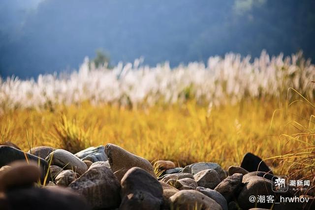 晚潮｜畲乡绿道：一场深情邂逅景宁的秋景