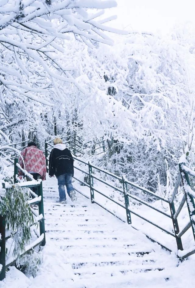 等雪来！瓦屋山绝望坡雪后挑战 UP + 趣味 UP，徒步党速冲！