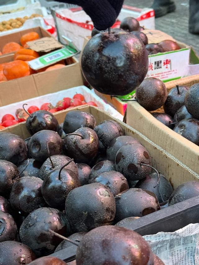 【独立营】小记者冬令营启程!一起感受北纬45°的冰雪童话王国