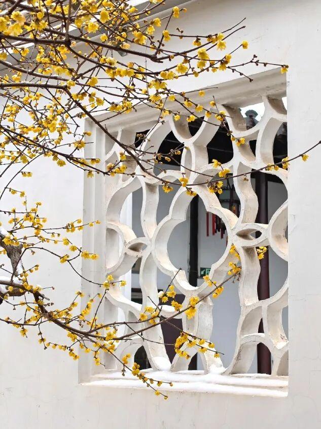 听，秦淮雪落下的声音