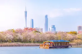 花城踏青享春光：清明假期看广州文旅“花式宠粉”！图片