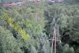 吉林白山：电业架高压线占林地补偿款去向引争议图片