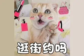 上海商场出现了“毛孩子”专用电梯，有人点赞，有人却说……图片