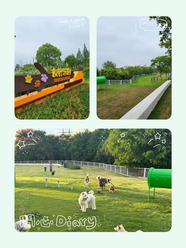 3000㎡！属于萌宠的gogoland帮你找到了！