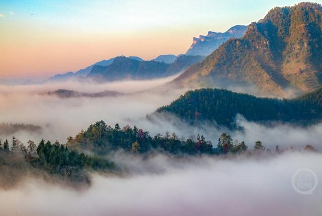 雾绕彩林伴冬阳