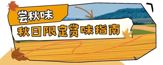 啊~秋！超绝龙城入“chill”指南～
