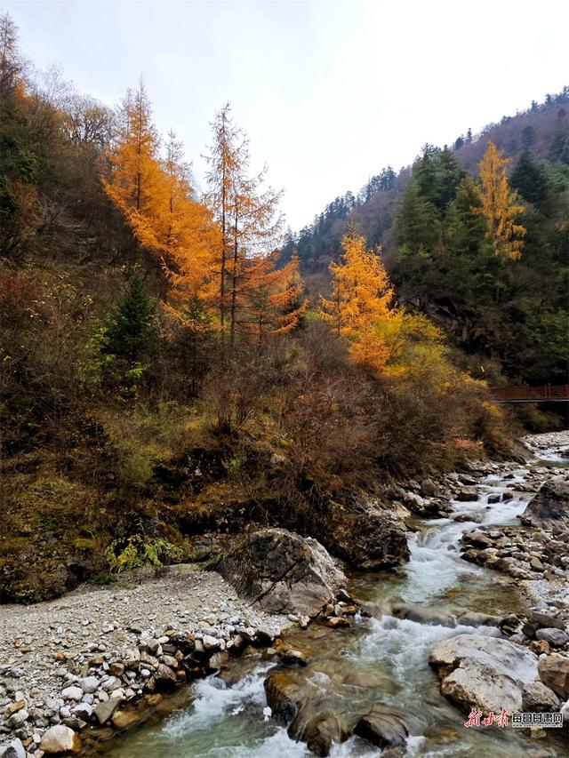 秋染官鹅沟 醉在山水间