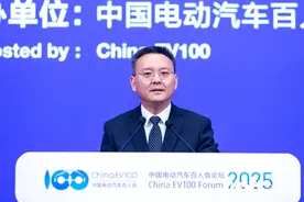 国资委副主任苟坪：将对整车央企进行战略性重组，提高产业集中度图片