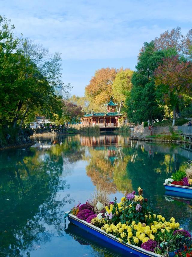 周末N次方|打开这份江汉赏秋图鉴→