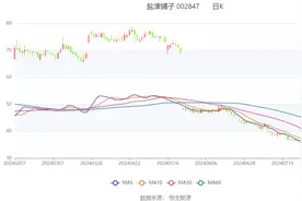 盐津铺子：2024年上半年净利润同比增长30% 拟10派6元图片