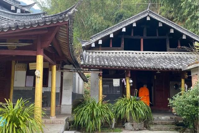 带上家人，到章驮乡摘甜甜的白草莓！