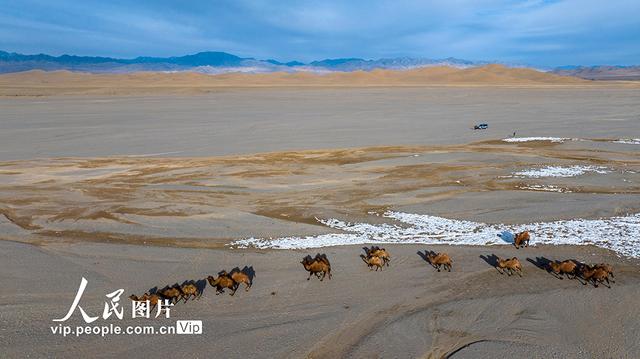 甘肃阿克塞：高原秋景入画来