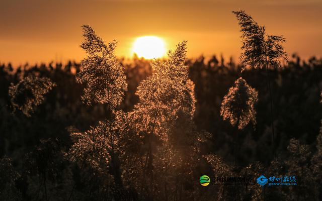 张掖：冬日朝霞绚烂如画