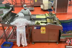 引得进留得住发展好  湖南华容打造招商引资“强磁场”图片