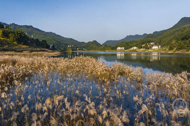 重庆梁平：冬景美如画