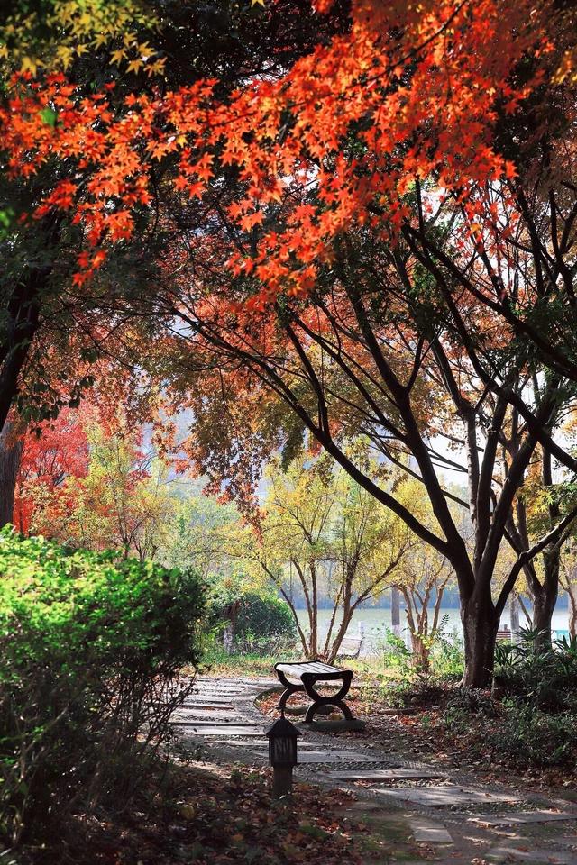 当代人需要的情绪价值，镇江给你！