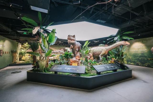 济南这座大型“城市公园”，好逛！