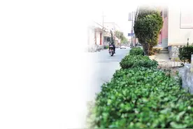 郝寨村“颜值”与“气质”双提升图片