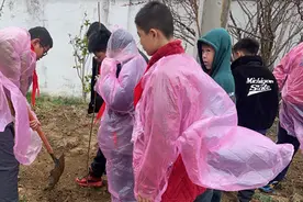 庐江县柯坦镇陈埠小学开展植树活动图片