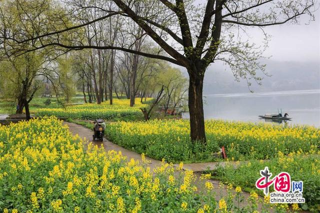 水墨洪江：藏在雪峰余脉里的灵秀(组图)