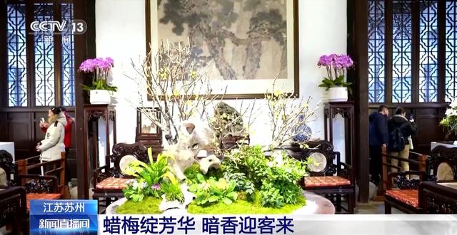 嗅梅香、赏梅韵 “梅”好时光激活周末经济