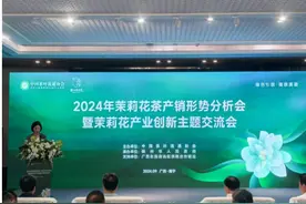 广西横州茉莉花鲜花最高价达84元/公斤  创历史新高图片