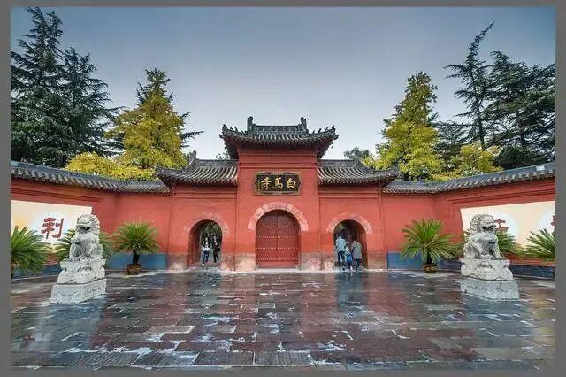十一期间，这条路线又好又划算，广电推荐路线千年古都洛阳两日游开启
