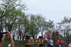 给你的咖啡定张机票，穿越800米“空中花海”，这份杭州浪漫还在继续图片