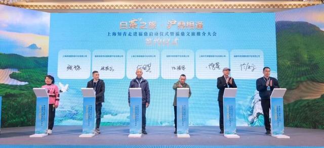 沪鼎相逢，大有看头