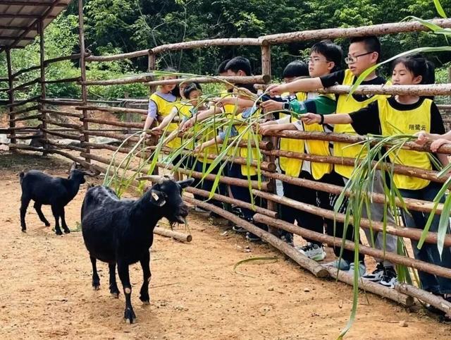 是时候爆火了，这座“天赋异禀”的小山村，来了就想当”新村民”！