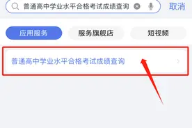 今日公布！快来“爱山东”查学考成绩！图片