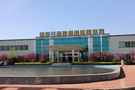 山东人的童年回忆，生态花香下的“小蓝帽”图片