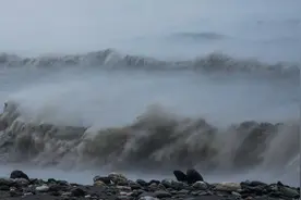 什么原因造成今年有三个台风登陆台湾？视频封面