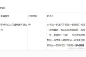 聊城拟新增四条线路直达聊城西站图片
