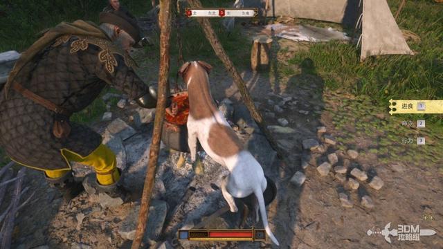 《天国：拯救2》图文流程任务全攻略