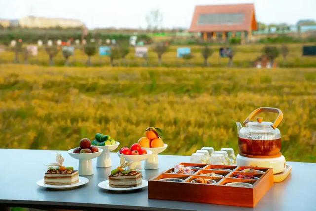 来宿城，解锁N种田园撒欢方式！