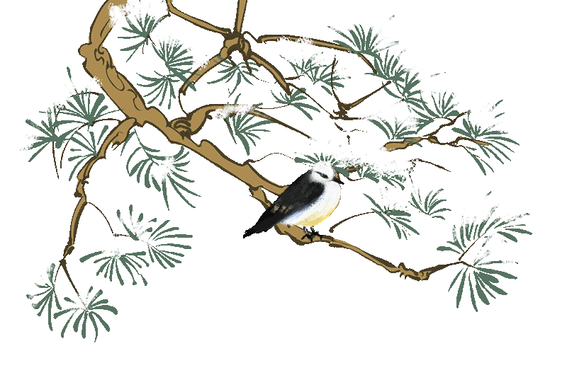 均温15℃＋！福建避寒天花板，这些古城藏着过冬的松弛密码