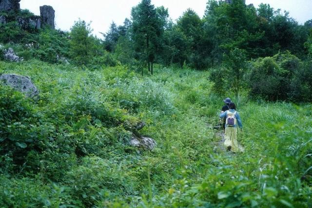 赛前提醒 | 倒计时1天—2025湖南山地徒步大会（龙山洛塔站）即将开始！
