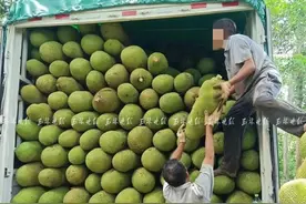 司机“坐地起价”加运费，被拒后竟把货拉走图片