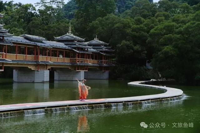 初冬的风里竟有了粉色的“味道”！就在龙潭公园里~