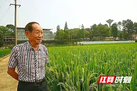 芙蓉国评论丨世界粮食日：做像袁隆平一样的“好种子”图片