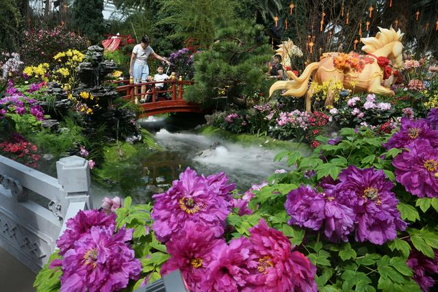 通讯｜新加坡花园里的江南春色