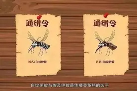 必读！超实用防蚊秘籍大公开，速速收藏！图片