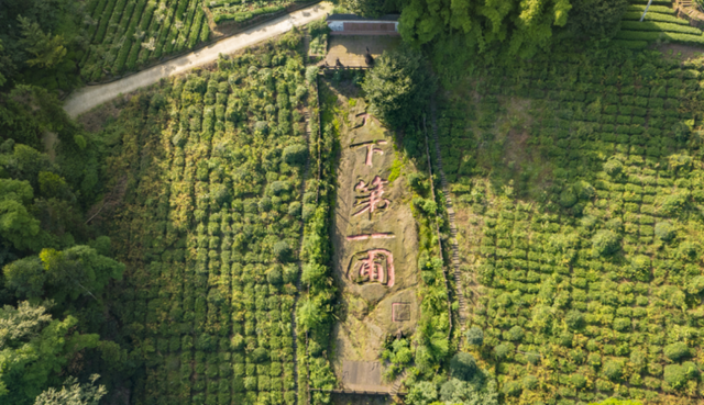 抓住假期尾巴 到这些地方品杯香茶！