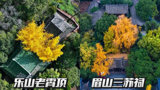 致眉山