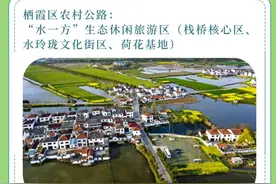 2024年清明假期，南京公路网出行服务指南来啦图片