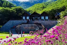 柳河，药乡焕发新活力 || 县域高质量发展巡礼图片